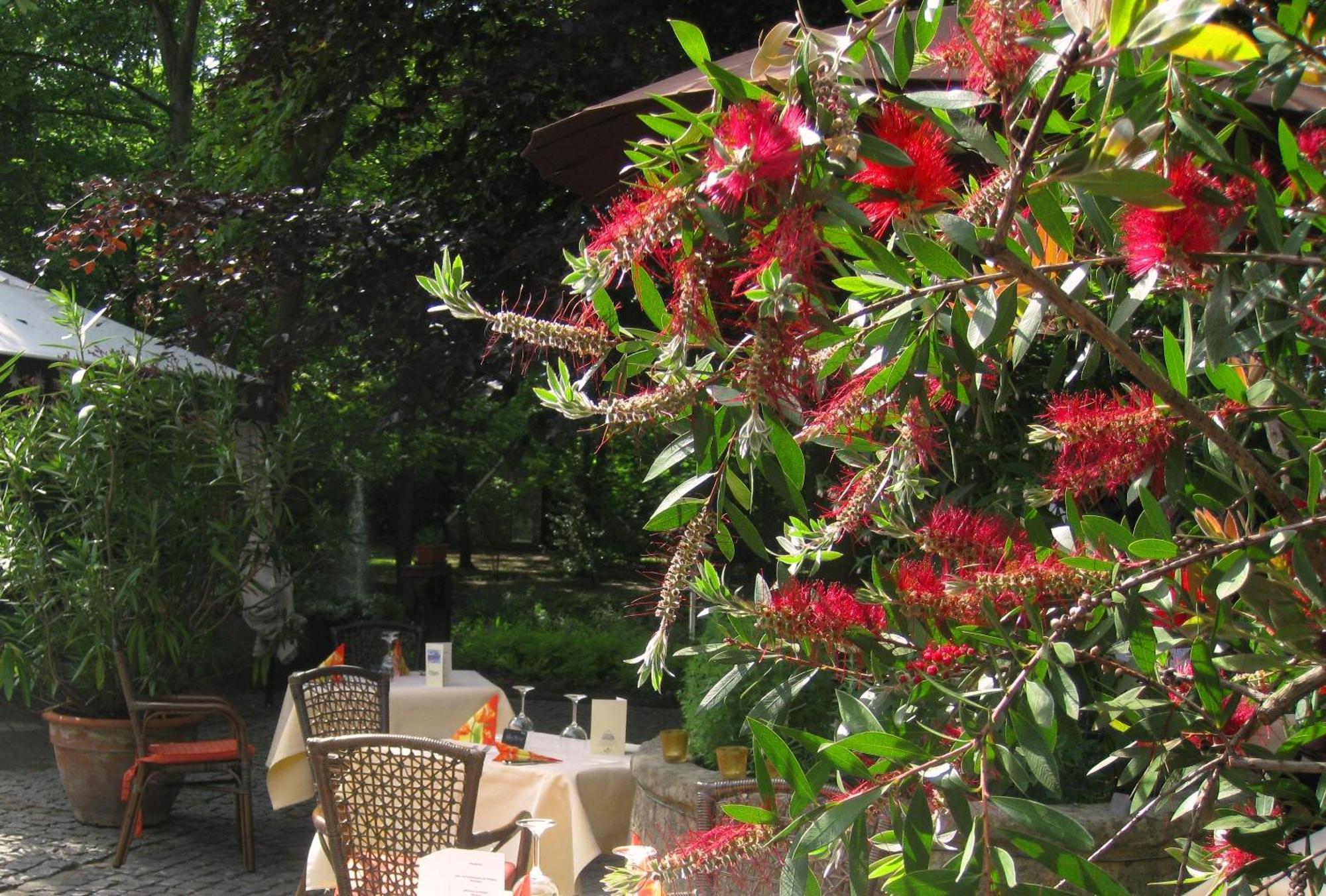 Landidyll Wilminks Parkhotel Neuenkirchen  Exterior foto
